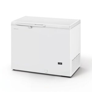Pozzetto Congelatore Grande lt 280